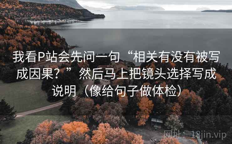 我看P站会先问一句“相关有没有被写成因果？”然后马上把镜头选择写成说明（像给句子做体检）