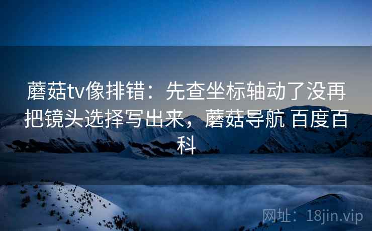 蘑菇tv像排错：先查坐标轴动了没再把镜头选择写出来，蘑菇导航 百度百科